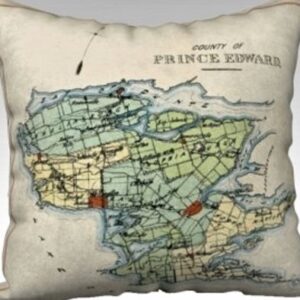 The County Antique Map Pillow or Pillow Cover - Gale Force Farms