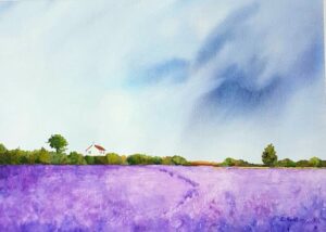 "Lavender Fields" -  E. Kent Studio (print)