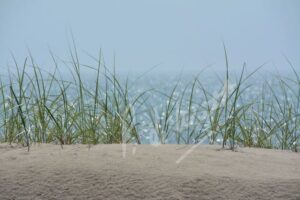 "Early Morning Mist: Sandbanks" - Peggy deWitt