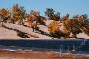 "Father & Son: Dunes in the Fall" - Peggy deWitt