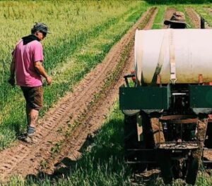 Organic Dried Herbs- Mirepoix Farms