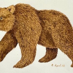 "Bear" - E. Kent Studio (Coffee-pigment water colour original)