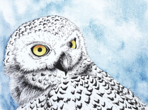 "Hedwig" -  E. Kent Studio (print)