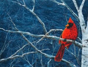 "WInter Perch - Cardinal" -  E. Kent Studio (print)