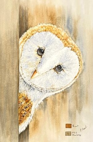 "Rusty, The Barn Owl" - E. Kent Studio (print)