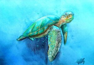 "Myrtle ~ the sea turtle" - E. Kent Studio (print)