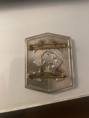 Alternative view of Netherlands Bescherming Bevolking BB Badge - Civil Protection