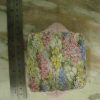 Shelley Fine Bone China 'Rock Garden' Dainty Dish c1940 - SOLD - Image 7