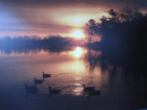 "Sunrise Swim" - Gord Groulx