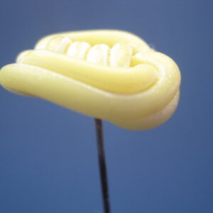Alternative view of 2 Celluloid - Bakelite Antique Hat Pins