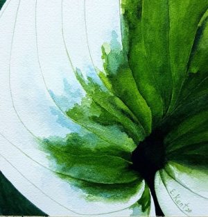 "Hosta" - E. Kent Studio (print)