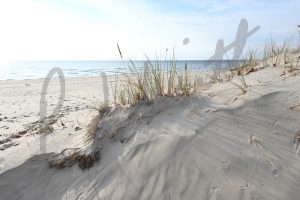 "Sandbanks Sandy Hill"  - Peggy deWitt