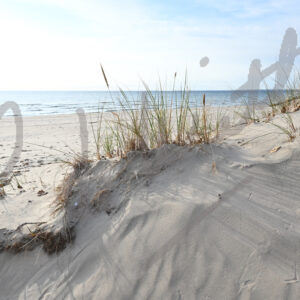 "Sandbanks Sandy Hill"  - Peggy deWitt