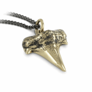 Bronze Shark Tooth Pendant with chain ~ Lost Apostle Jewelry