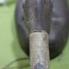 Black Duck Decoy #6 - Prince Edward County - Image 3