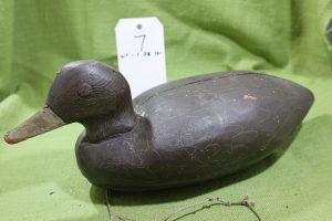 Black Duck Decoy #7 - Prince Edward County