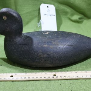 Black Duck Decoy #9 - Prince Edward County