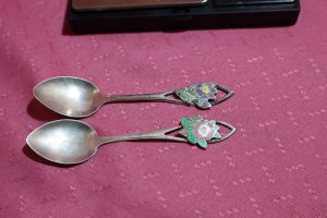 Sterling Spoon ~ Provincial Flowers (Banff or Winnipeg) Souvenir