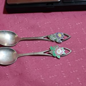 Sterling Spoon ~ Provincial Flowers (Banff or Winnipeg) Souvenir