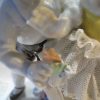 Unter Weiss Bach Dresden Lace Girl & Boy Figurine, Germany - Image 4