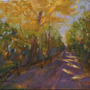"Forest Bathing" ~ Judy Plomer