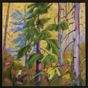 "Gems of The Forest" ~ Judy Plomer