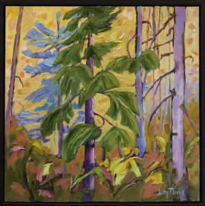 "Gems of The Forest" ~ Judy Plomer